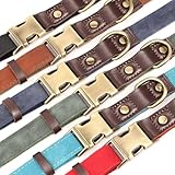 Didog Weich gepolstertes Lederhalsband für mittelgroße Hunde, klassisches Hundehalsband mit Metall-Schnellverschluss, verstellbar, mittelgroß, Kunstleder, grün, M