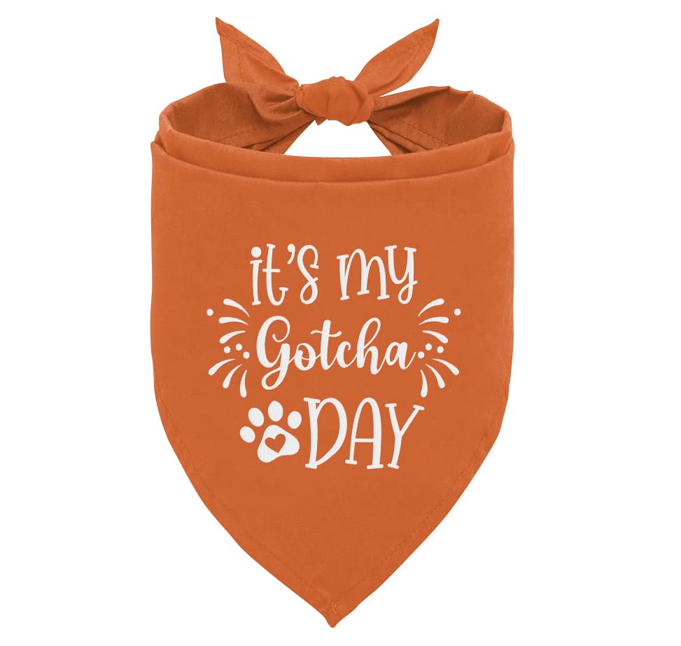 It's My 'Gotcha Day' Triangle Dog Scarf - Orange, Funny, Cute for Small to Large Dogs