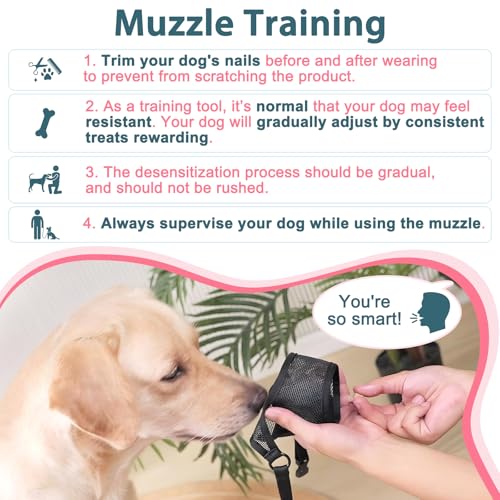 LUCKYPAW Dog Muzzle, Mesh Dog Muzzle for Large Medium Small Dogs, Soft Mouth Guard for Biting Chewing, Breathable Mouth Cover with Adjustable Strap for Training (Hot Pink, M(Snout:8.75\"-9.5\")) - Thumbnail 4