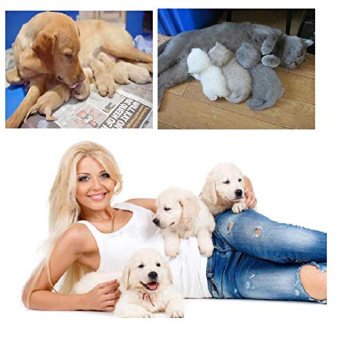 GSSFASHION Welpen-Welpen-Welpenset, Welpenset mit Fütterungsnippel, Flasche, Schere, Kordelklemmen, Sauger usw. Komplettes Set