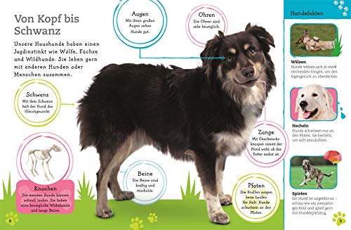 Alles über deinen Hund: So sorgst du für dein Lieblingstier. Mit Steckbriefen beliebter Hunderassen und Quiz (Mein Haustier)