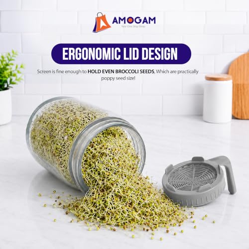 Image of Sprouts Maker Glass Jar - 950ml Large Sprouts Maker Jar for Home Use | BPA-Free Sprouting Jar with Drain Lid Handle | Reusable Glass Sprout Maker Jar for All Seeds and Beans(GREY)