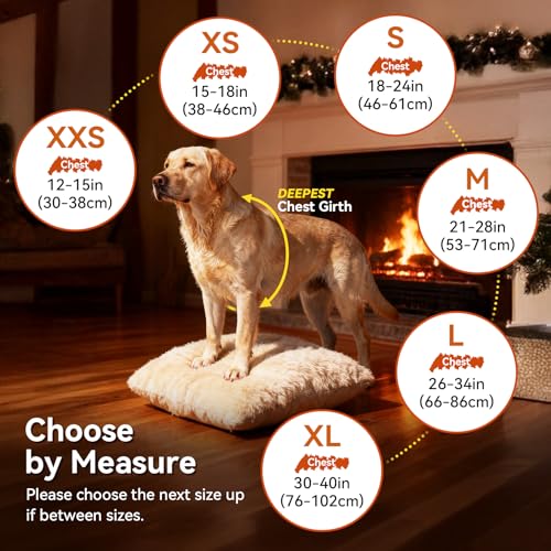 VIVAGLORY Softjoy Hundemantel, Wintermantel mit Bauchschutz, Hundejacke für Winter & Weihnachten, Warm Softshell Kariert Schnittmuster Verstellbar, M, Grün