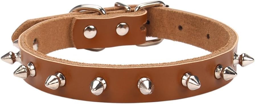 See full amazon price history chart for Dog Trust Spiked Dog Collar, Dog Collar with Spikes Small Spike Collar for Dogs Cats Spiked Collar Studded Adjustable Puppy Collars, Brown Size20-25cm Dog Trust Spiked Dog Collar, Dog Collar with Spikes Small Spike Collar for Dogs Cats Spiked Collar Studded Adjustable Puppy Collars, Brown Size20-25cm (B0CNZ8VMX3) Amazon Price History, Amazon Price Tracker