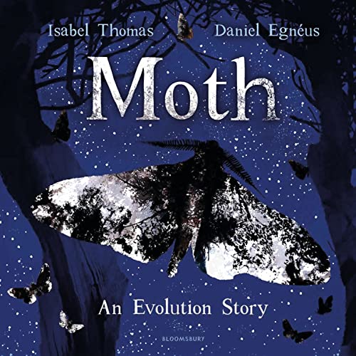 Moth view 2