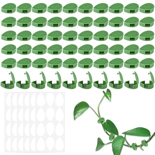 Bafumiu 60er Pack Pflanzenclips für Kletterpflanzen, Selbstklebende Pflanzenhalterung, Pflanzen Wandhalterung Outdoor, Pflanzen zubehör, Aus strapazierfähigem Material, ideal für kleine Pflanzen.