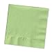 Creative Converting Touch of Color 2-Ply 50 Count Paper Lunch Napkins, Pistachio