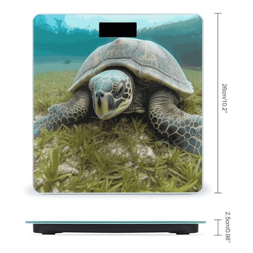 Báscula Digital Big Tortoise de Vidrio Templado y LCD miniatura 2
