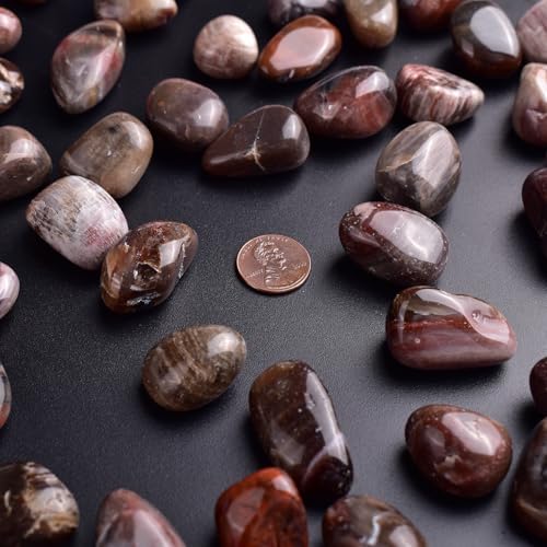 Image of Polished Stone Set Petrified Wood Crystals, 0.8 inch Handpicked Tumbled Gemstones Rocks, Pebbles for Reiki, Chakra, Healing, Home Decor