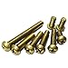 M5 Brass Phillips Pan Head Machine Screws Qty 64-Piece Assortmrnt Set,M5x6 M5x8 M5x10 M5x12 M5x16 M5x20 M5x25 M5x30mm