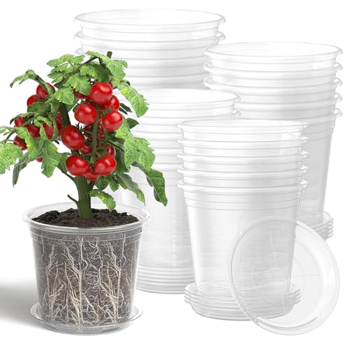 MENGBEI Lot de 20 Pots Transparents pour semis avec soucoupes, Pots en Plastique avec Trous de Drainage, idéaux pour l'intérieur et l'extérieur (10/13/15/18...