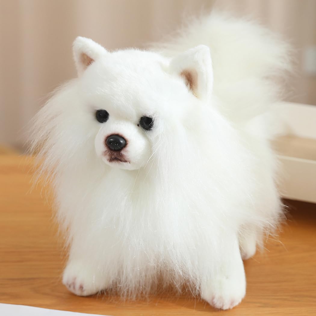 Amazon.co.jp: yousyu ぬいぐるみ ポメラニアン 犬 リアル 本物
