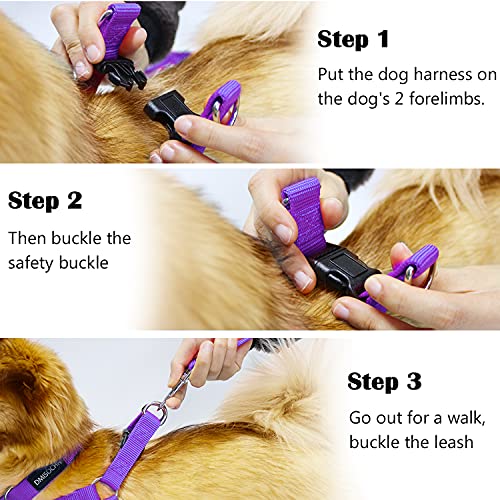 DMISOCHR Dog Harness and Leash Set with Collar Step in No Pull Dog