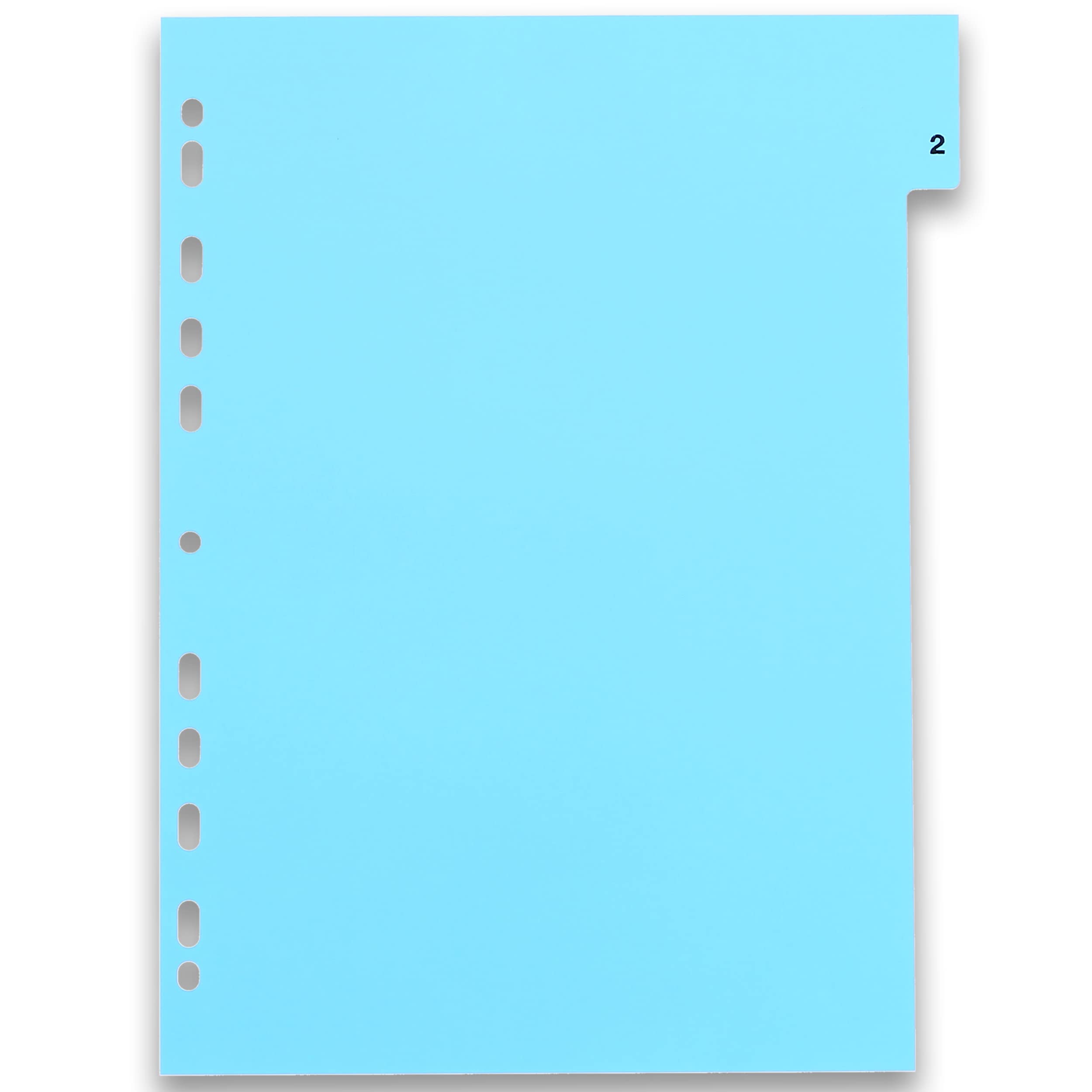 Oxford 100204769 - Divisori in Plastica, Numeri, 1 - 12, 25 Register, Bianco