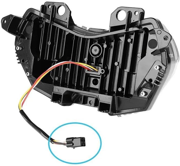 黄厥明 極上貝の上猿と人物根付 24g 東Y7-1024☆1Fトヒニ サンショウ