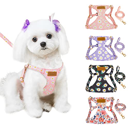 Eyein Daisy Pattern Dog & Cat Harness & Lead Set, Lightweight Adjustable Soft, No Pull Escape Proof