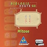  Mitose, 1 CD-ROMFür Windows 98/NT 4.0/ME/2000/XP. Einzelplatzlizenz