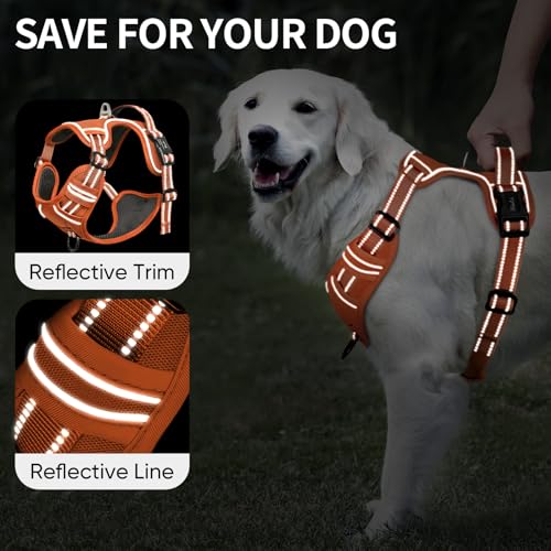Image of HEELE Dog Harness for Medium Dogs No Pull Dog Vest Harness with Soft Padded Handle Reflective for Outdoor Training, Pumpkin Orange, M