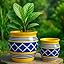 Moroccan Yellow & Blue Set of 2