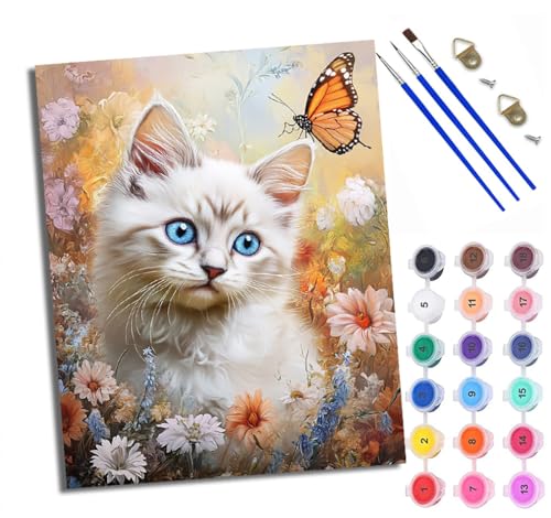 WXRWANG Pintura por Números para Adultos Un gato blanco de ojos azules y una mariposa Pintura al óleo digital para adultos de Cuadro para Pintar por Números con Lienzo 40x50cm pintura al óleo de