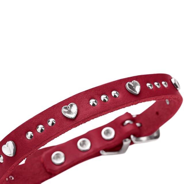 Foto 6 de 8 de HUNTER Aalborg Hearts - Collar para Perro