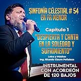  Despierta y Canta en la Soledad y el Sufrimiento (SFC No.54 en Fam) (Instrumental con acordeón de 120 bajos)