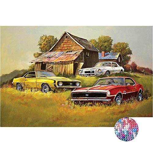 LIPHISFUN Diamond Painting Kits Full Round Drill 5D DIY Painting Kits for Adults Unfinished Embroidery Kits Christmas Home Decor Gift,Car Field