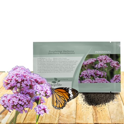 Outsidepride Purpletop Verbena Seeds for Planting - 5000 Pcs. Annual, Drought Tolerant & Easy to Grow, Ground Cover with Fragrant & Vibrant Blooms for Containers, Borders & Pollinator Gardens