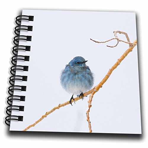 Migration de montagne Bluebird bloc-notes 3drose pour immortaliser vos pensées et inspirations
