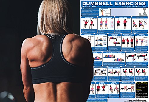 Laminated Dumbbell Exercise Poster/Chart - Shoulders and Arms - Created by Fitness Experts with University Degrees in Exercise Physiology etc. - ... - Fitness Poster - Dumbbell Workout Chart