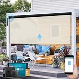 SmartWings Solar Shade