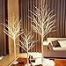 Lightshare Lighted Birch Twig Tree with Fairy Lights 4FT, 6FT and 8FT, Pack of 3 Warm White for Indoor Outdoor Home Christmas Holiday Decoration