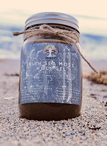 Vegan Super Cell Food All 102 Mineral HOLY Gel Organic Irish Sea Moss Gel and Bladderwrack with Soursop Leaves and Cloves for Appetite Suppressant, Thyroid Support, Joint Support, Detox