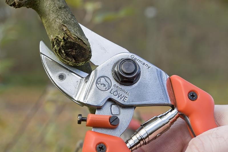 Amazon | オリジナルライオン No.7107 | 園芸用はさみ