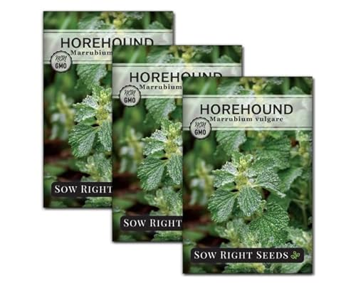 Sow Right Seeds - Horehound Seeds for Planting - Grow Your Own Marrubium Vulgare - Heirloom Non-GMO Variety - Easy to Grow - Perfect for Herbal Remedies & Tea - Ideal in Pollinator Gardens (3)
