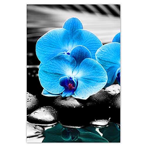 Wandsticker Dekosticker H5610M_NS1DO Orchidee 105x155cm Türkis
