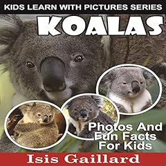 Koalas Titelbild