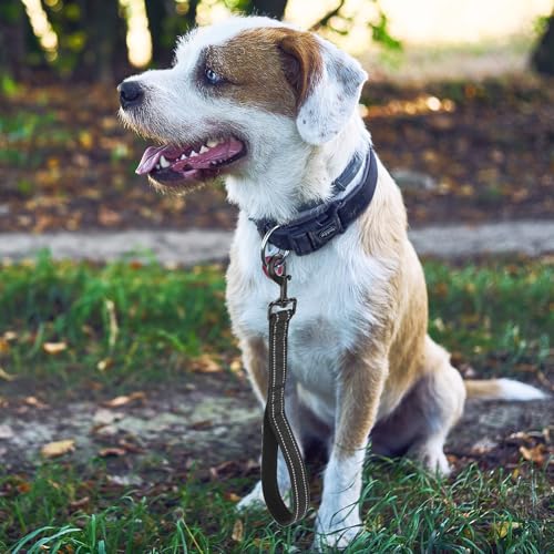 Teaaha Hundeleine Kurz, 38 cm Kurzführer Hund mit Gepolstertem Griff und Reflektierendem Nylon, Robuste Trainingsleine für Mittlere und Große Hunde, 360° Drehbarer Metallclip, Schwarz