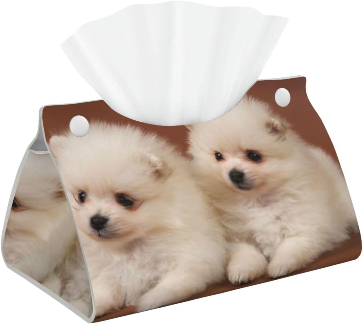 Amazon｜かわいい ポメラニアン いぬ 犬 (1) ティッシュケース