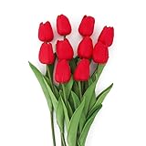 🌷 |Confezione da 10 pz| Confezione da 10 tulipani rossi, con gambo verde. Ogni fiore ha una lunghezza 34 centimetri, il gambo ha un diametro di circa 1 centimetro e i petali misurano circa 5 centimetri.