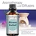 Natural Riches Stress Relief Essential Oil Blend Anxiety Essential Oil - Aromatherapy - Relaxing Soothing Calming Environment Massage to Relieve Tension - 30ml