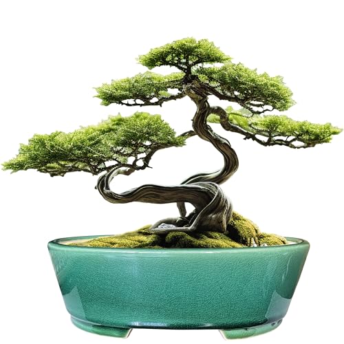 MUZHI 9&rdquo; Glazed Oval Green Bonsai Planter Pot with Humidity Tray, Classic Neat Ice Crack Long...