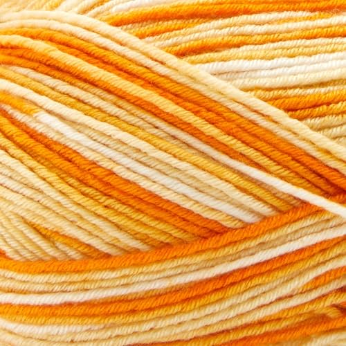 Image of Premier Yarns Fruits, Acrylic Sock Yarn, 2-Pack Bundled with Bella's Crafts Stitch Markers (Orange)