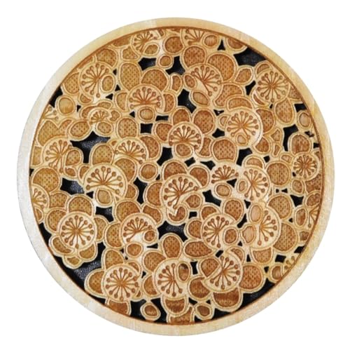 Edo Kumiko Coaster Set: Tokyo's Nail-Free Wood Lattice, Where to Buy [2026] — 梅 finish
