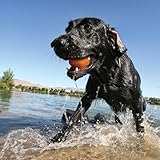 PetSafe Kurgo Apportierspielzeug für Hunde - Fördert das Spielen im Wasser und Bewegung - Langlebiges Schwimmspielzeug - Leuchtende Farben - Schwimmende Apportiersteine - Ungiftig - 3er-Pack