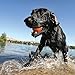 PetSafe Kurgo Apportierspielzeug für Hunde - Fördert das Spielen im Wasser und Bewegung - Langlebiges Schwimmspielzeug - Leuchtende Farben - Schwimmende Apportiersteine - Ungiftig - 3er-Pack