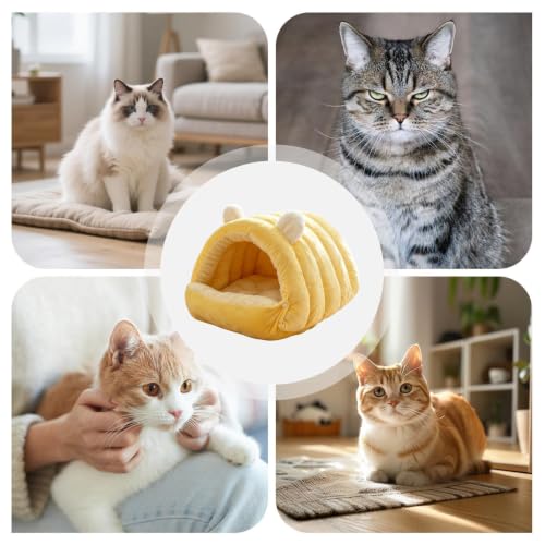 Cama cerrada para gatos lavable ideal para sofá hogar y viajes 5