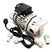 Produktbild Harnstoff Pumpe 40l/min, selbstansaugende Förderpumpe, AUS32, 230V/400W, Membranpumpe