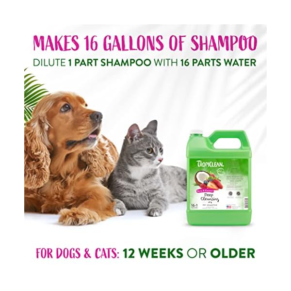 TropiClean - Reinigendes & feuchtigkeitsspendendes Hunde- und Katzenshampoo - Hergestellt aus natürlichen Inhaltsstoffen - Beere & Kokosnuss, 3,8 L – Bild 5