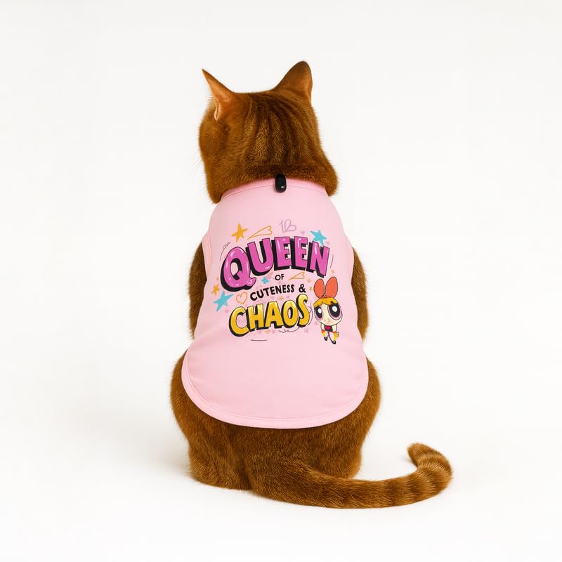 Image of Thunder Tails Printed Cat T Shirt for Cats and Kittens | Breathable Cotton Cat Clothes with Round Neck | Pet Dress for Small to Large Cats Apparel (Queen of Cuteness & Chaos, L)